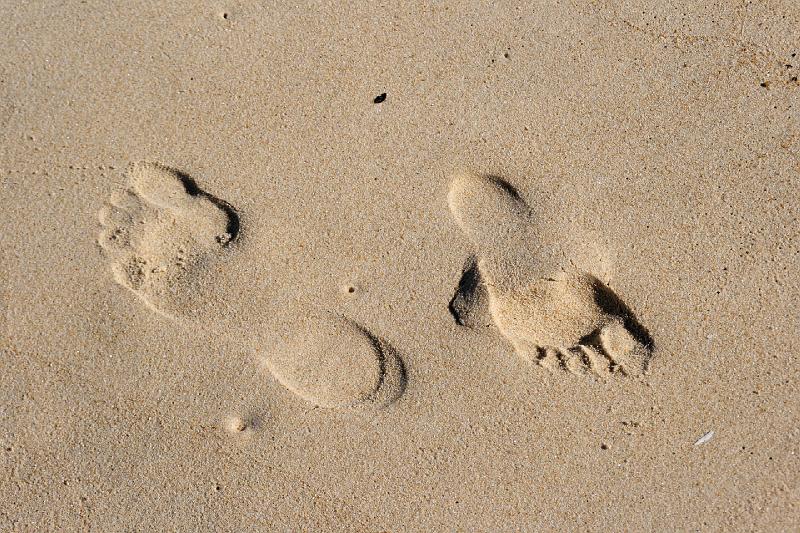 2007 04 06 Abel Tasman 080_DXO.jpg